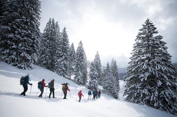 CAMP 6: LAWINENKURS KOMPAKT - SCHNEESCHUHTOUR