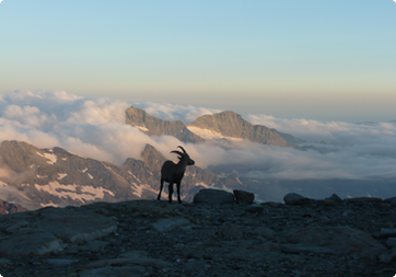 Gran Paradiso 4.061m